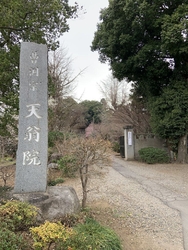 城山公園（小山...