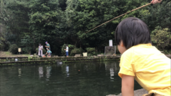 息子が魚釣りと...