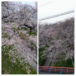 夕方訪れました...