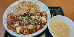 益子のひまわり...
