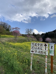 3月29日に初...
