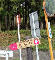 街道沿いの標識...