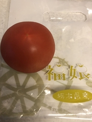最近、丸福農園...