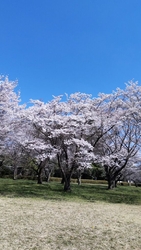 お天気が良かっ...