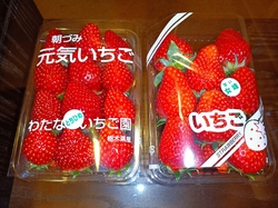 今は中々販売さ...