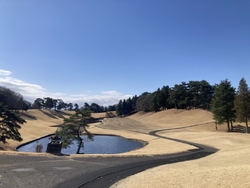 久しぶりのニュ...