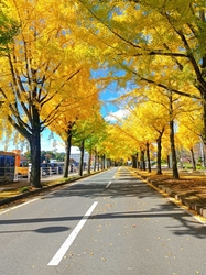 毎月通院してい...