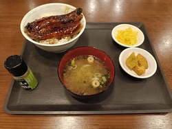 夏バテ気味で体...