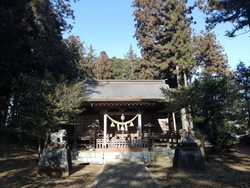 城山公園から案...