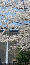 今日は、4月7...