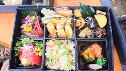 初めてお弁当を...