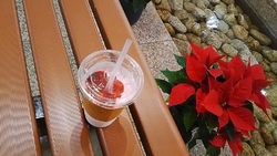 今シーズン初の...