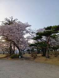 黒磯公園に行っ...