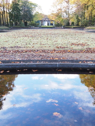 日中は家でのん...