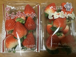 年末年始のため...