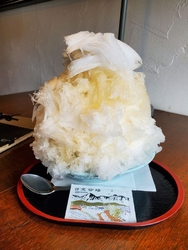 暑いなぁ、喉乾...
