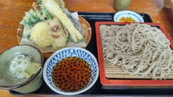 両親が遊びに来...