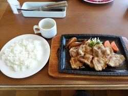 今日も妻とVA...