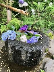 本日最後のあじ...
