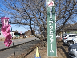 いちご（とちあ...