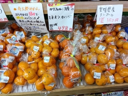 お彼岸真っ只中...