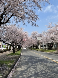 イオンモール小...