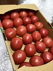 トマト大箱（2...