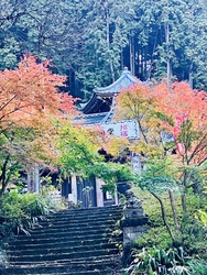 太平山神社の参...