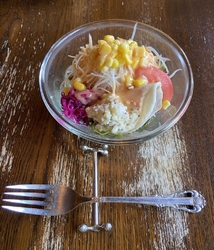 栃ナビを見てレ...