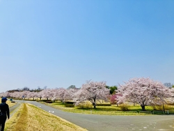 初めての公園で...