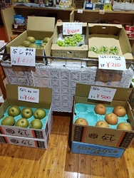 ずっと気温が低...