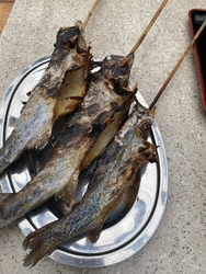 那須に来ると釣...