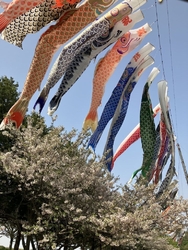 お散歩に寄って...