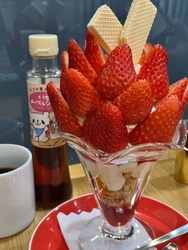 天使のいちごパ...