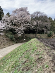 今年は例年にな...