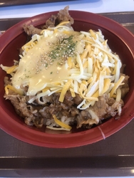 とろーり3種チ...