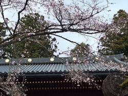 新年度から、新...