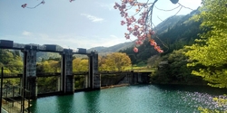 ダム湖の周りで...