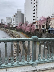 橋の上の車道は...