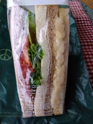 いつもおじゃま...