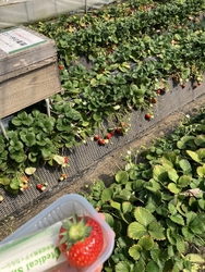 久し振りに行く...