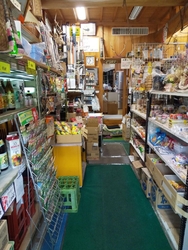 入ってスグは一...