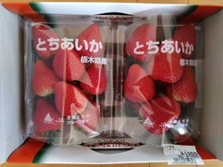 お彼岸のプチお...