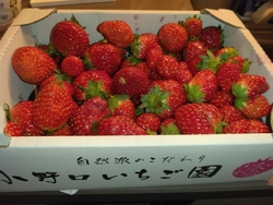やっと買えまし...