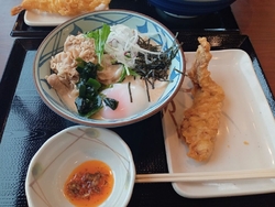 かしわ天、ごま...