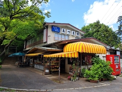 この日は天気が...