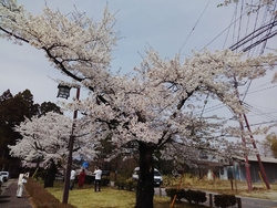 直売所がリニュ...