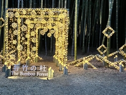 夜のライトアッ...