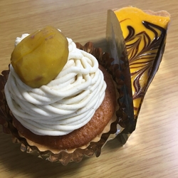 コロナ影響でカ...