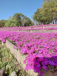 お天気が良かっ...
